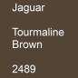 Preview: Jaguar, Tourmaline Brown, 2489.